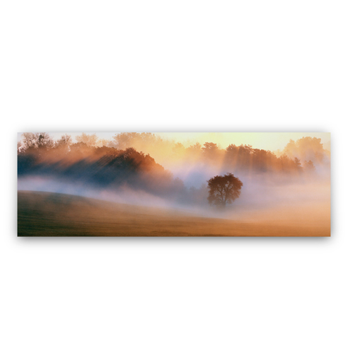 Fine Art Print 8x24