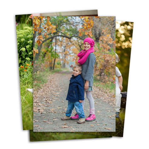 Studio Print Cardstock Assorted
