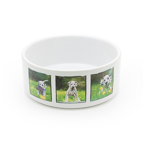 Pet Bowl
