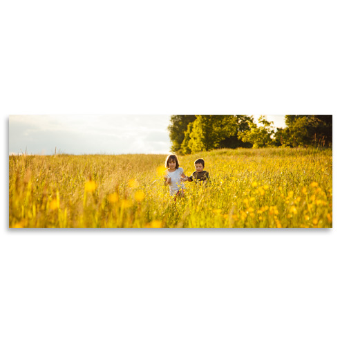 Fine Art Print 4x12