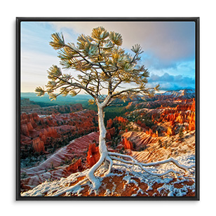 Home Decor/Metal Prints/Framed Metal