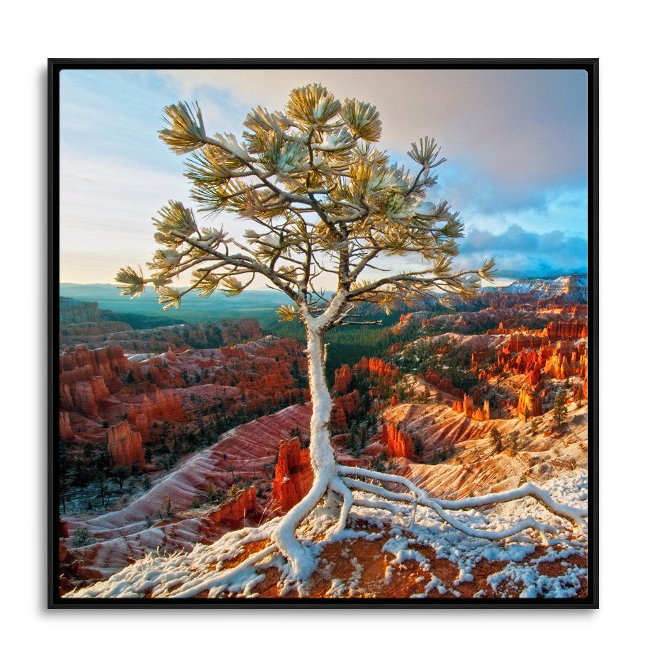 11¾x11¾ Framed Metal
