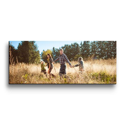 24x60 Shadow Print