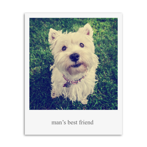 8x10 V Studio Print Vintage
