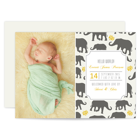 Baby 0077