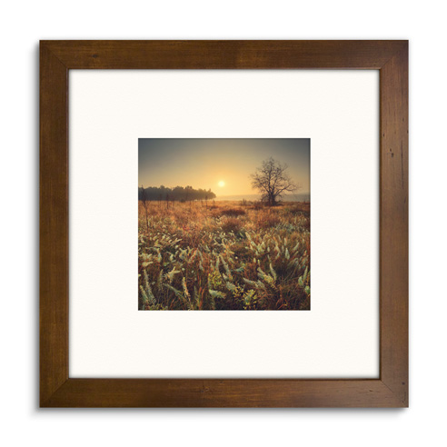 Home Decor/Framed Prints
