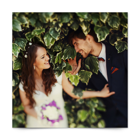 Studio Print | Cardstock Op