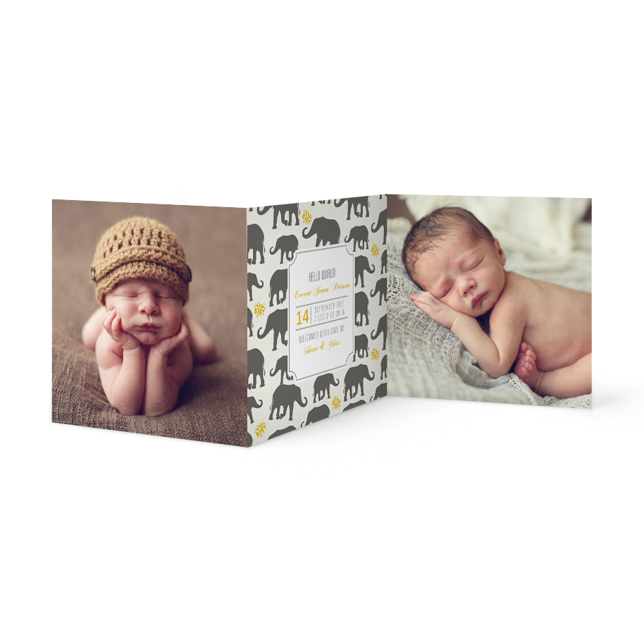 Baby 0077