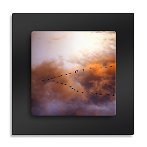 Home Decor/Metal Prints/Metal on Acrylic