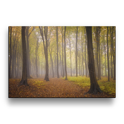 12x18 Shadow Print