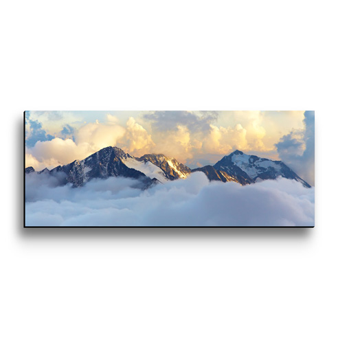 16x40 Shadow Print