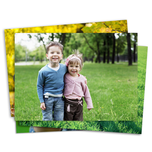 Studio Print Cardstock Assorted