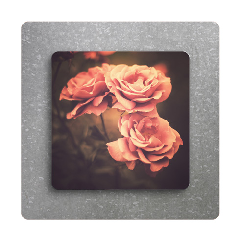 16x16 Metal on Steel
