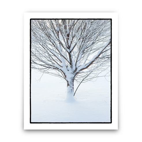Studio Print | Cardstock Op